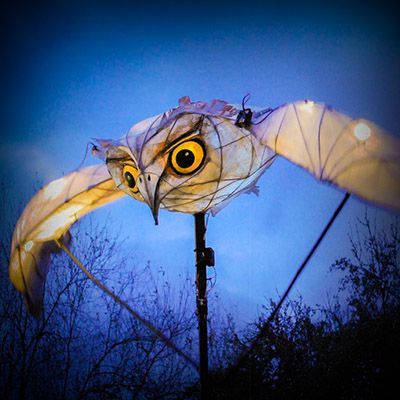 Owl for light night leeds