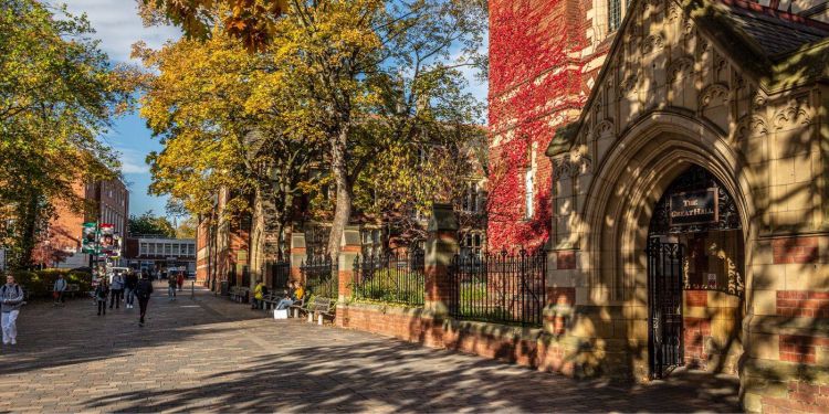 Charles Wallace India Trust Visiting Fellow 2024-25: Call for Applications