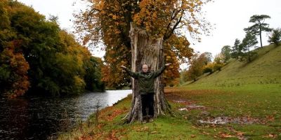 Person standing in front of a tree