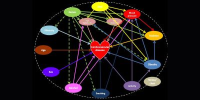 A red heart labelled 