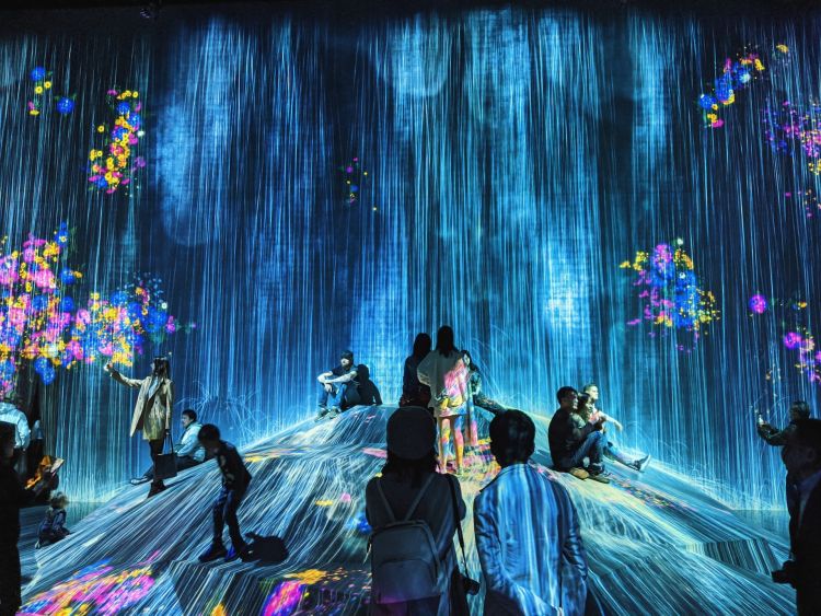 People at an immersive light show. The background is dark and blue light falls over and around them.