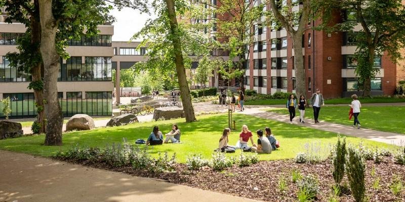Students on grass
